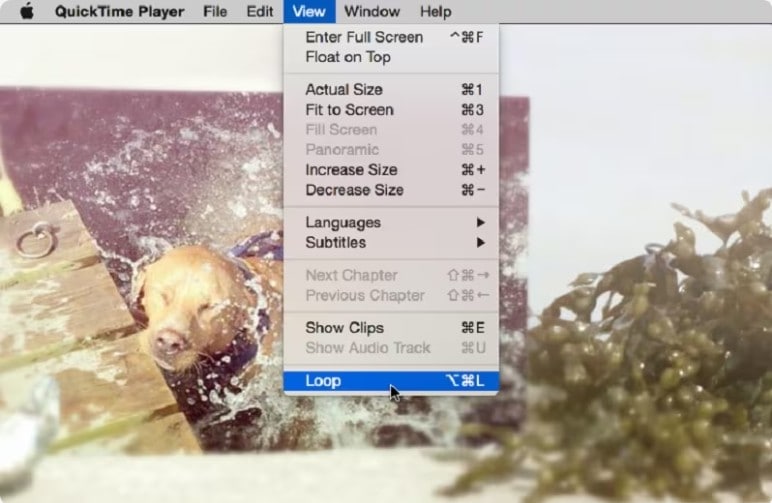 make video play on loop on quicktime