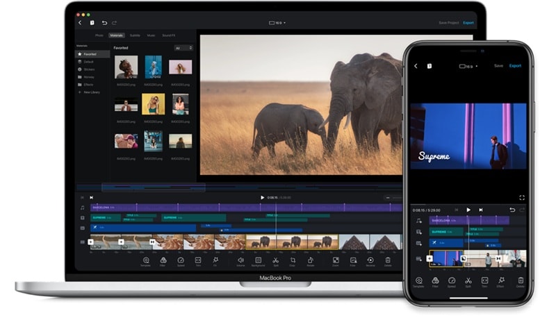 vn top social media video creator