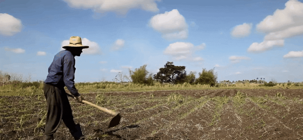 full shot clip short example gif