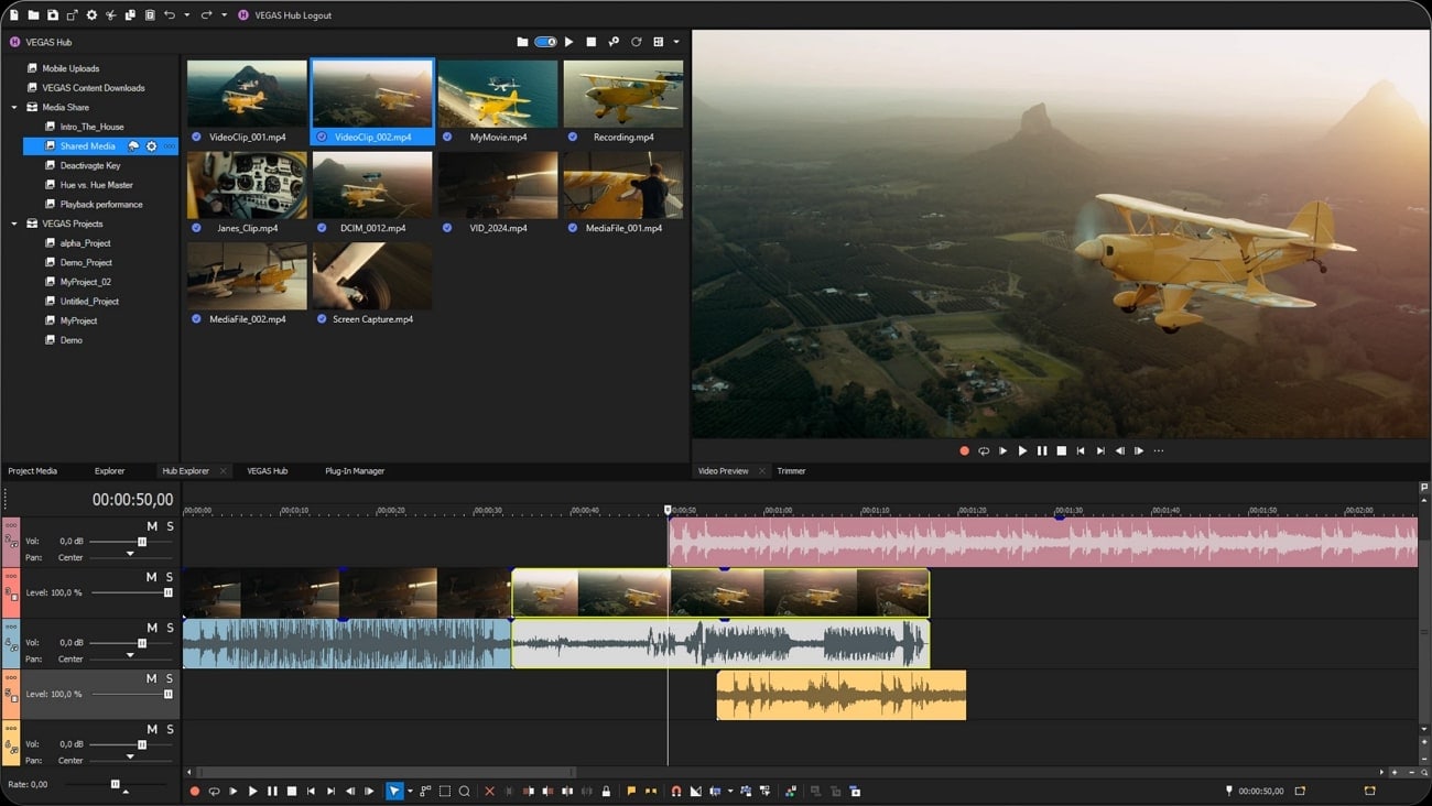 sony vegas recommendation reasons