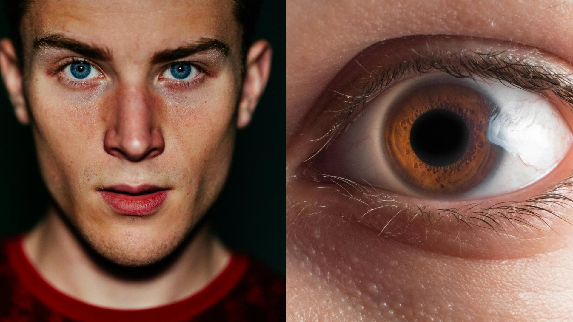 comparison image close up vs extreme