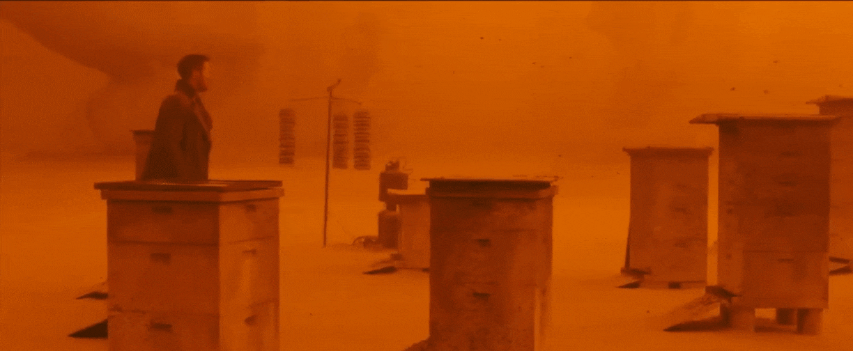 wide shot example from blade runner