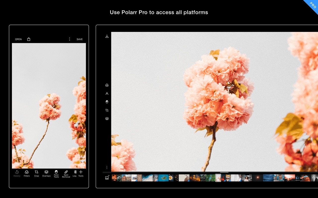 polarr photo editor
