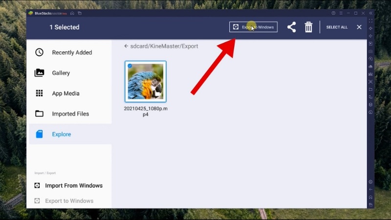 transfer the exported video