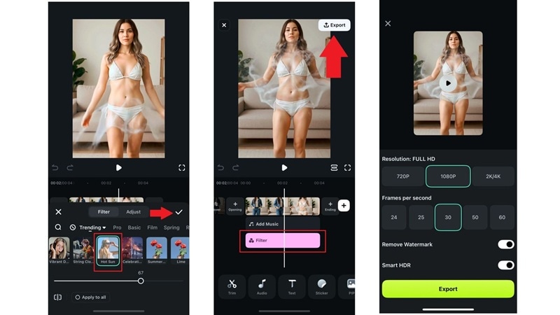 apply filter and export video