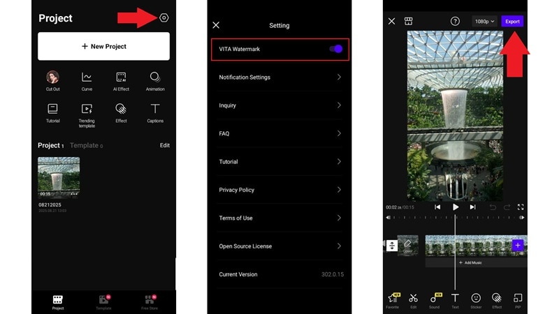 steps to remove watermark in vita