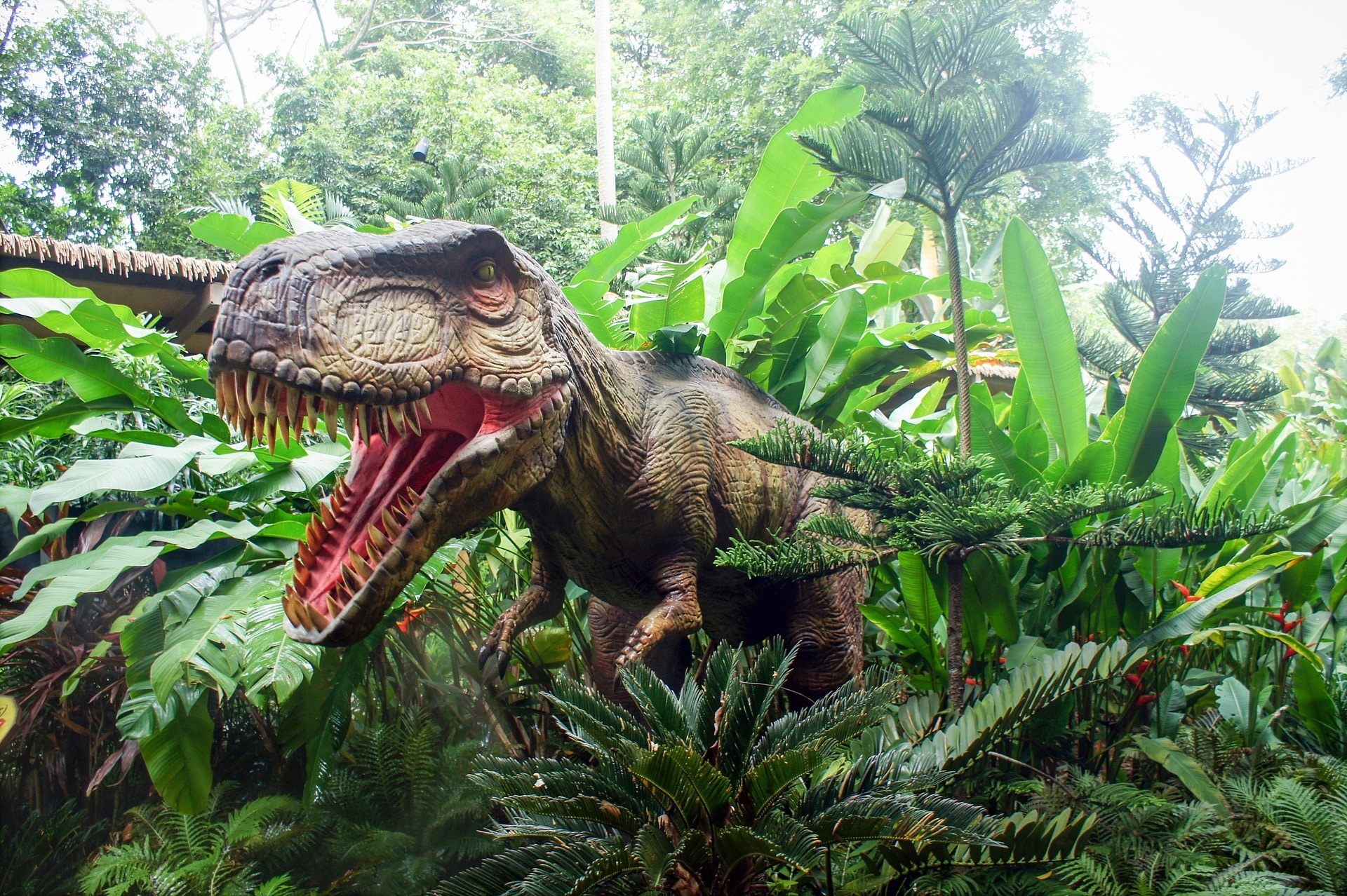 pixabay animatronic realistic dinosaur model example