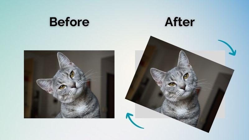 davinci resolve rotate video