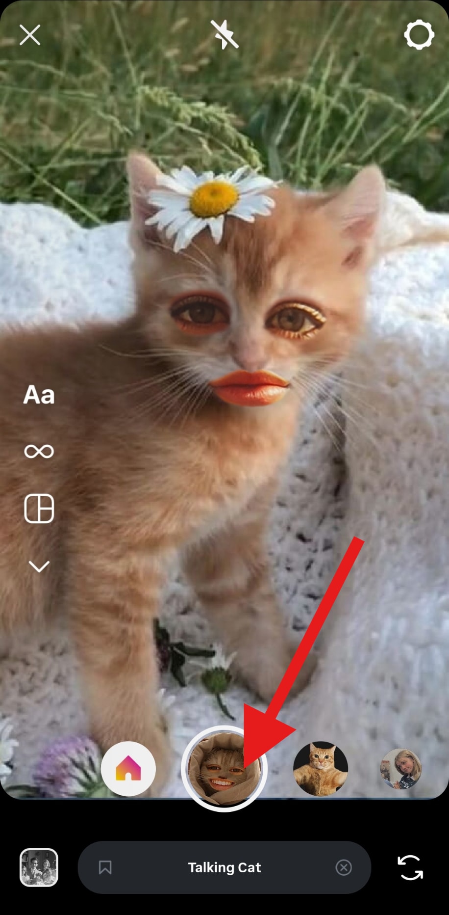 snap a cat ear photo instagram