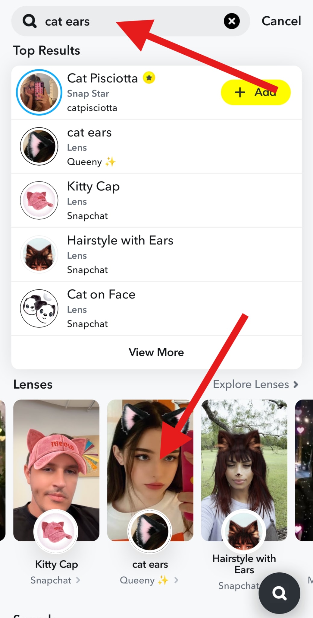 search for cat ear filters snapchat