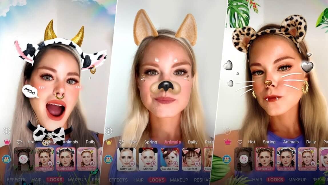 youcam cat face filter feature showcase