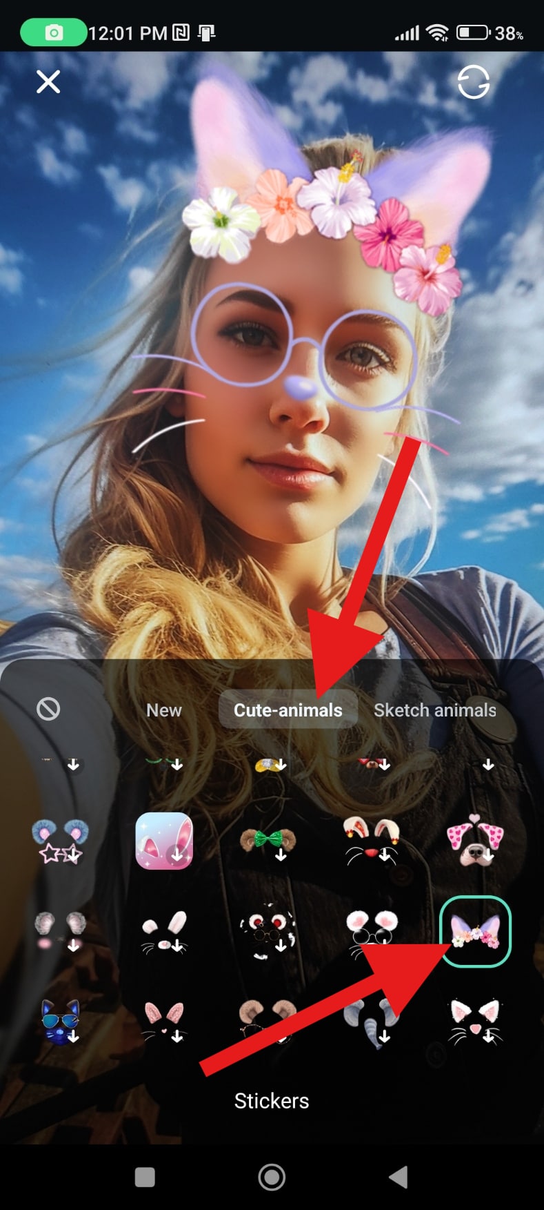 find a cat filter you like