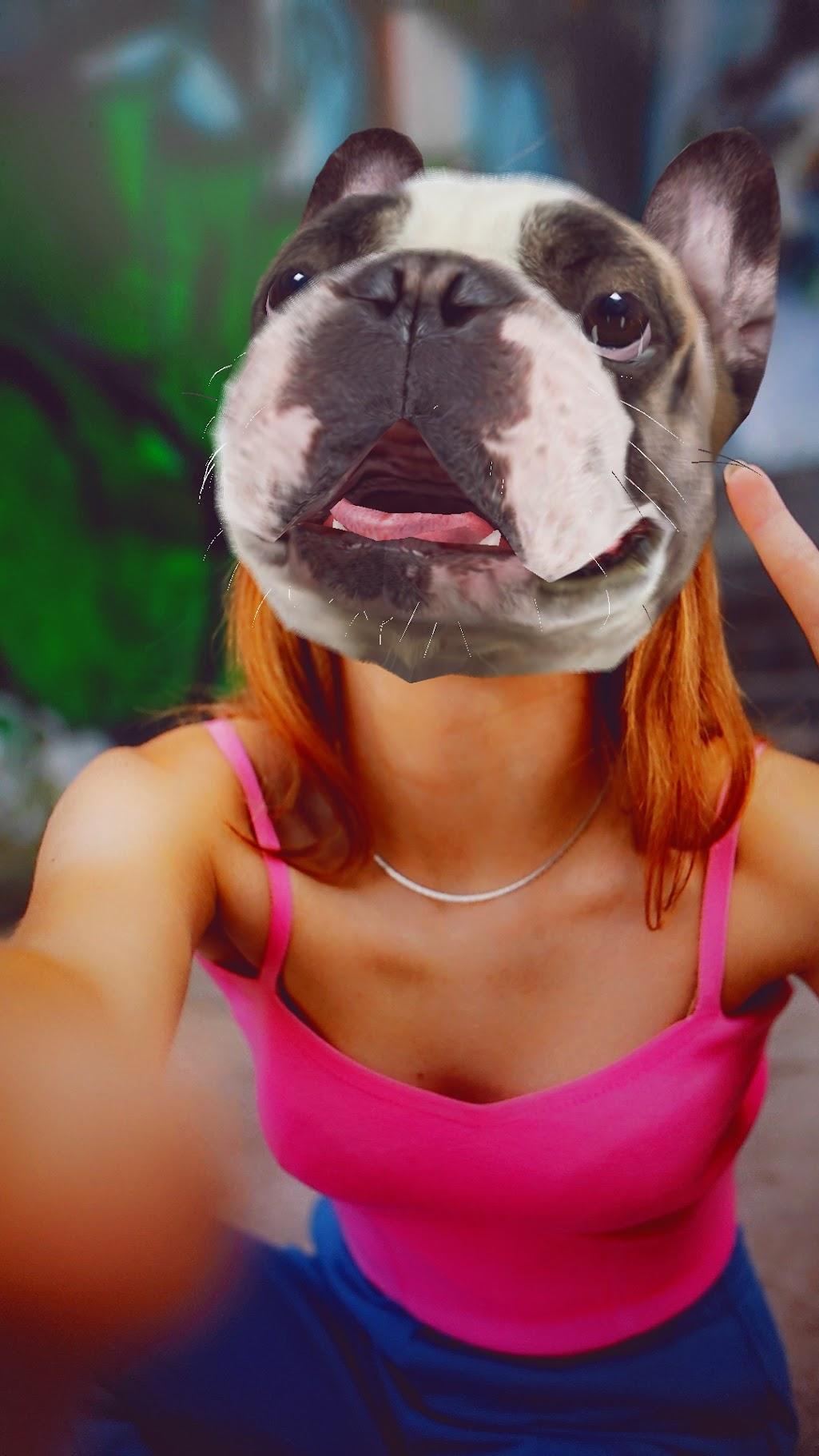 snapchat dog filter bulldog result image