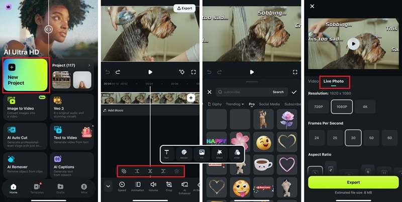 edit video to live photo filmora