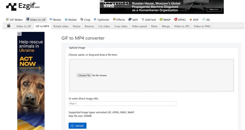 ezgif gif to mp4 converter