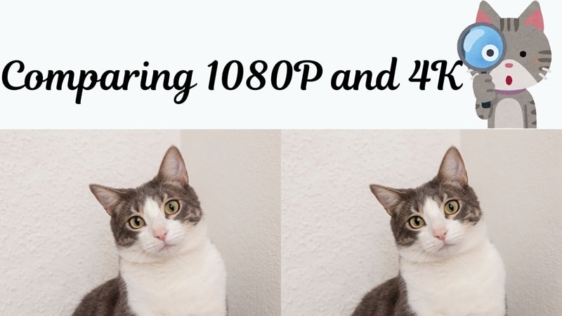 comparing 1080p and 4k