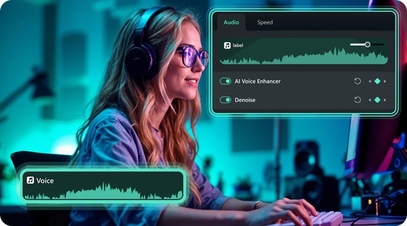 filmora audio denoise feature
