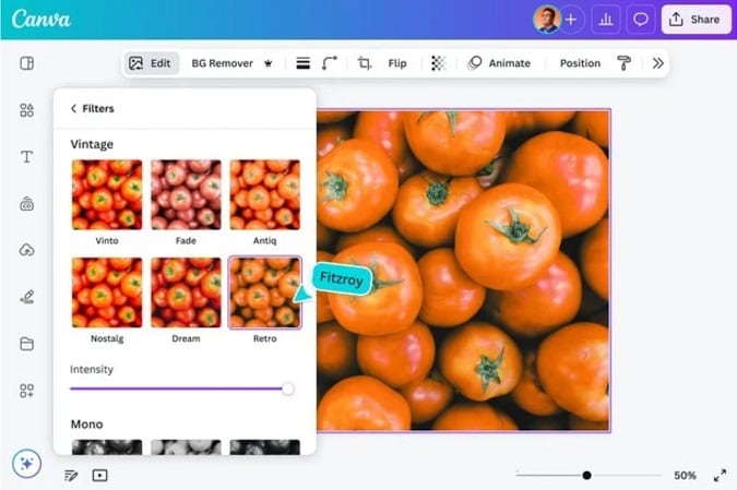 canva effects options