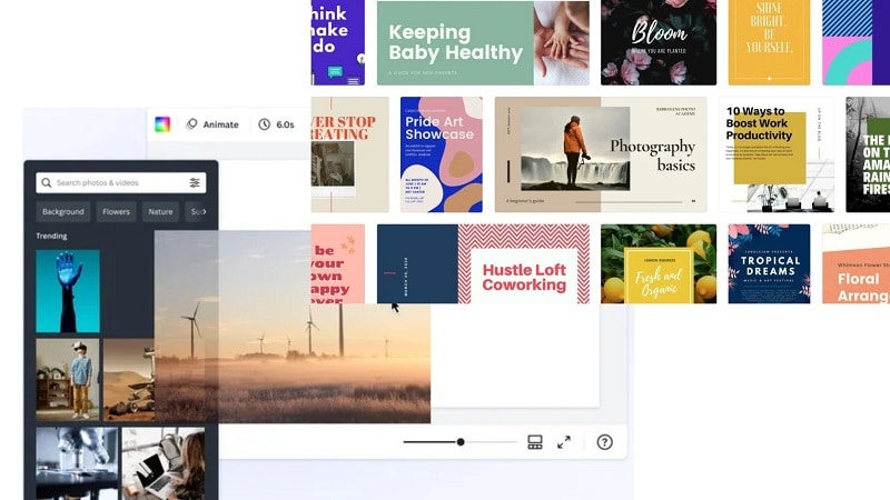 canva media library