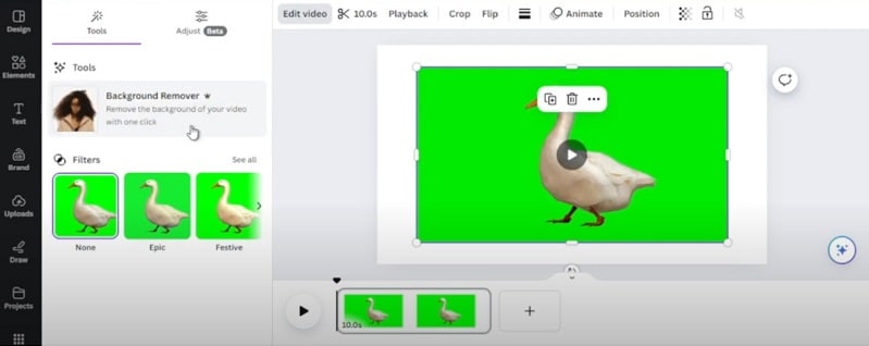 how to edit green screen in canva