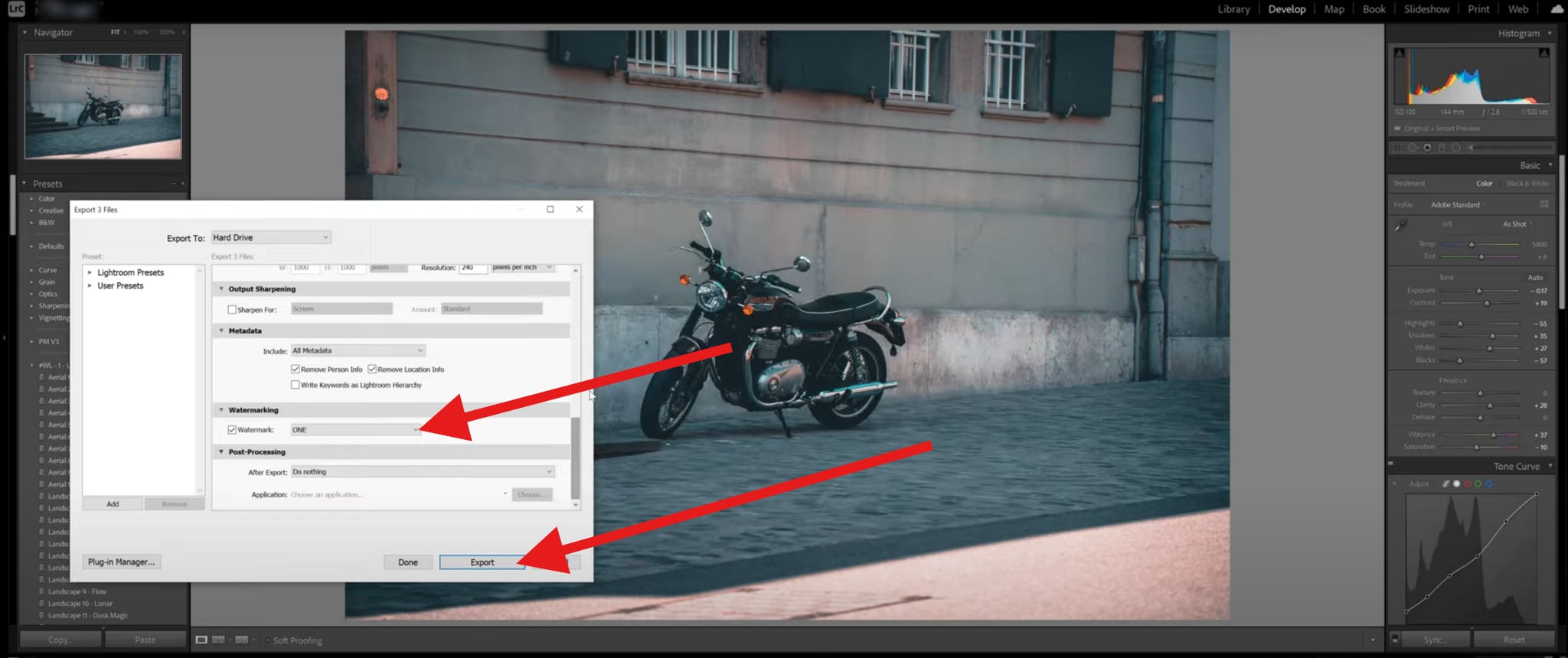 select watermark preset and click export