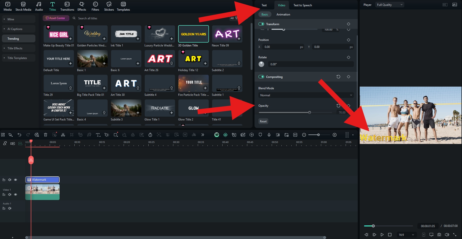 adjust text opacity and size filmora