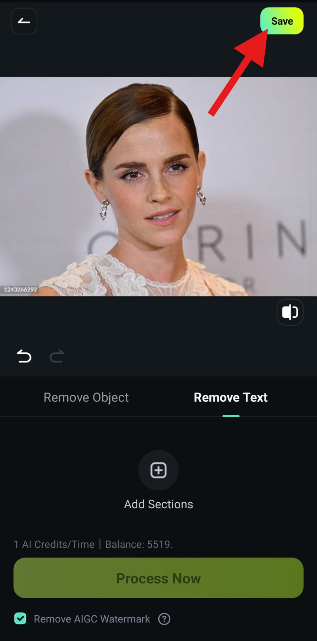 save image with removed watermark filmora