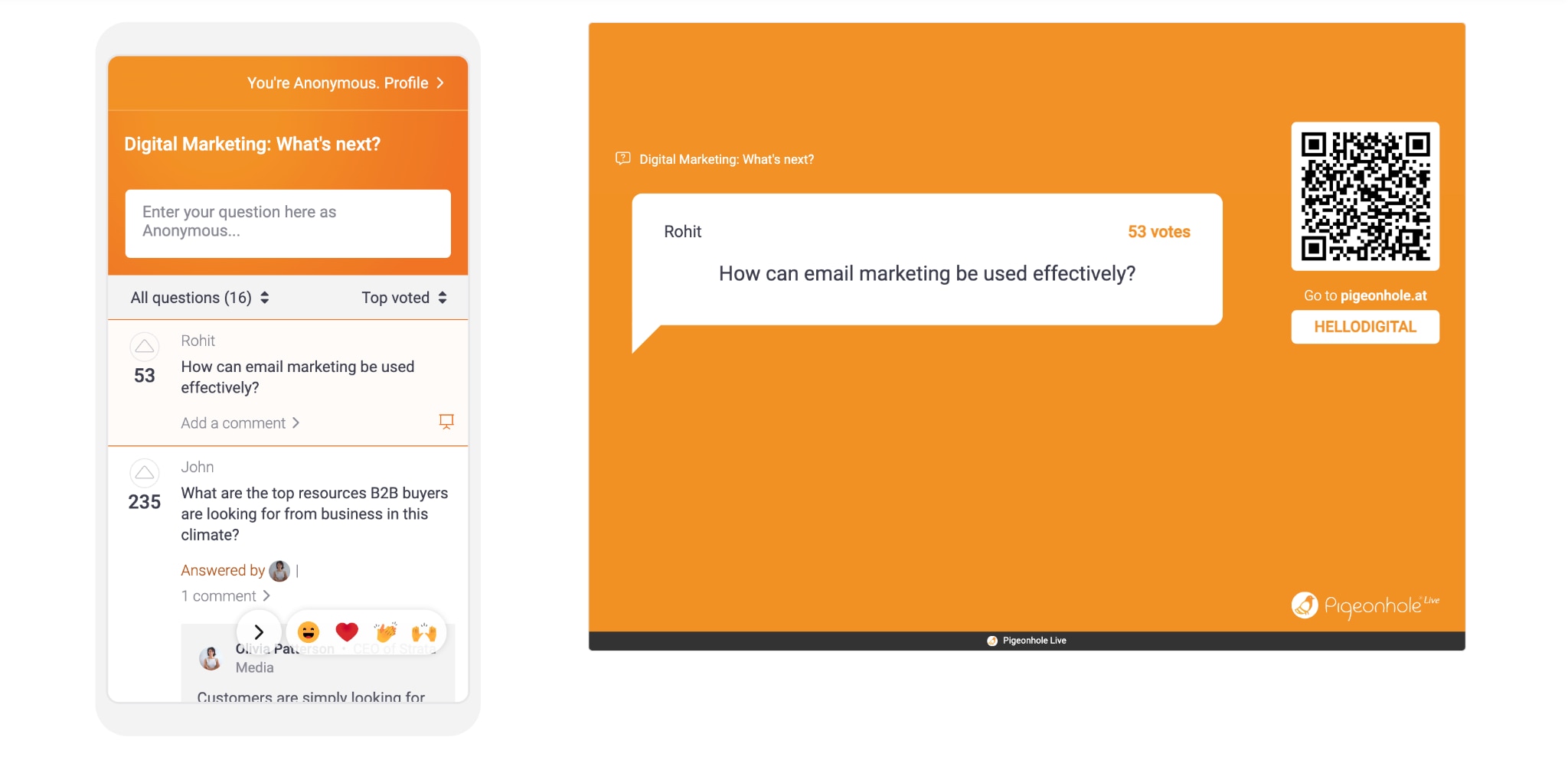 pigeonhole live Q&A platform
