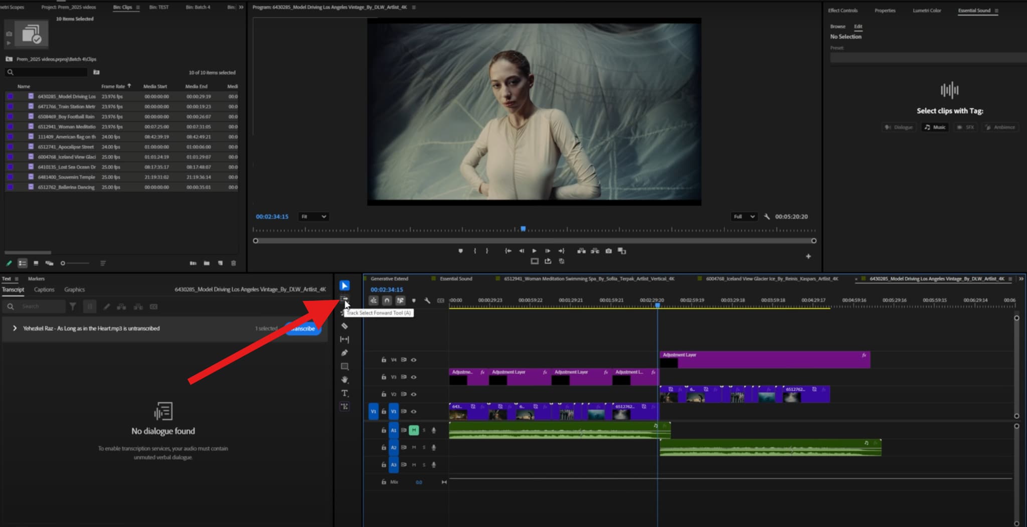 find track select forward premiere pro