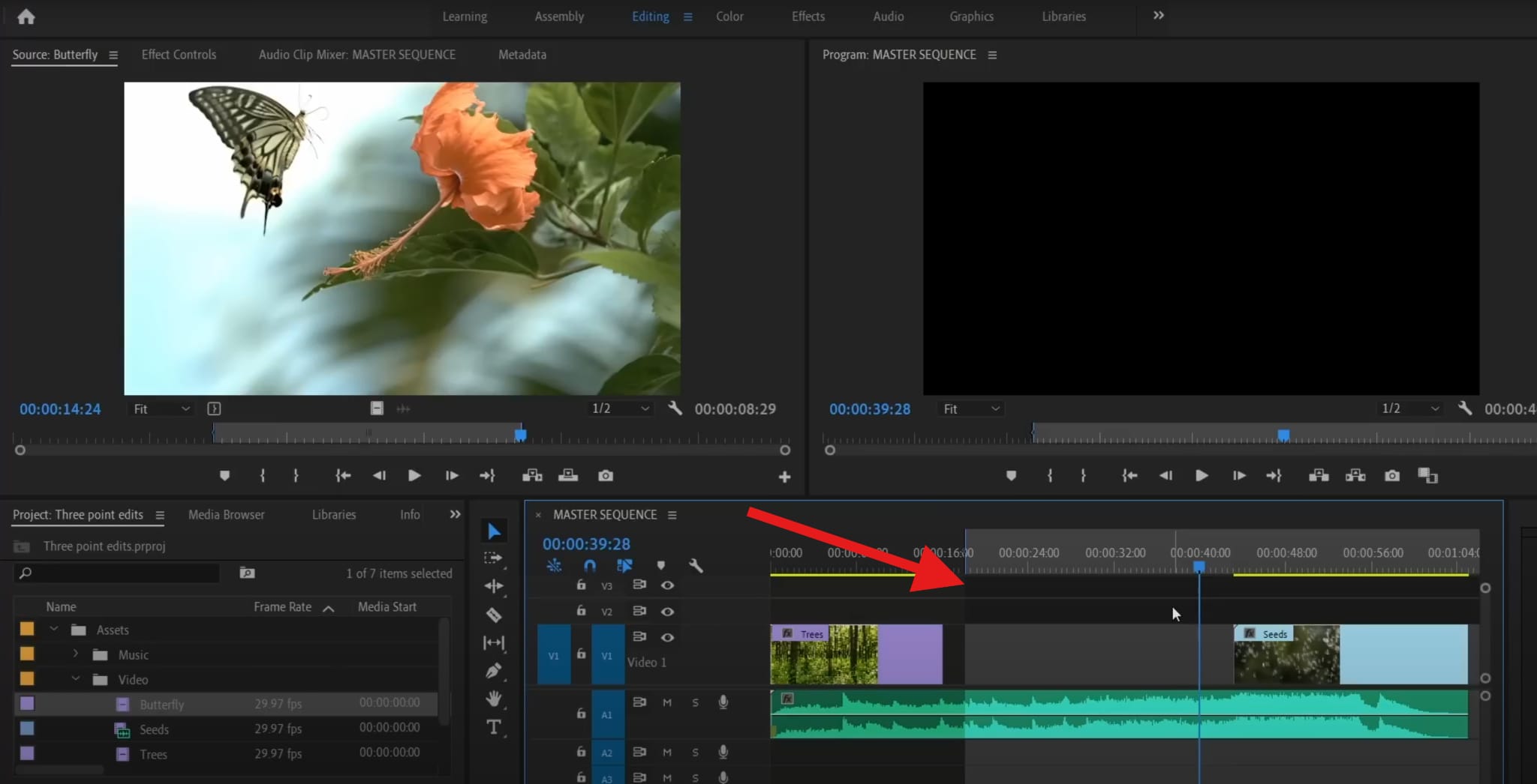 set timeline in point premiere pro