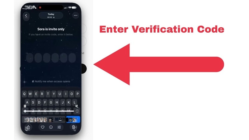 enter the verification code