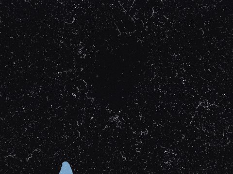 animated gif text maker