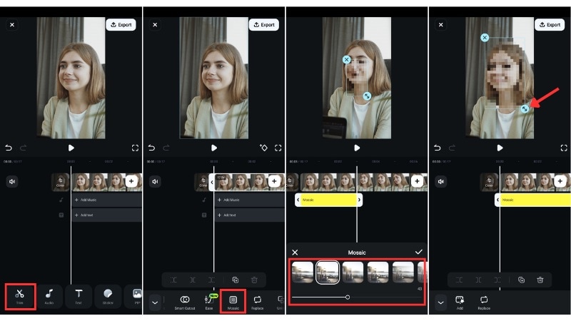 use mosaic tool to distort face