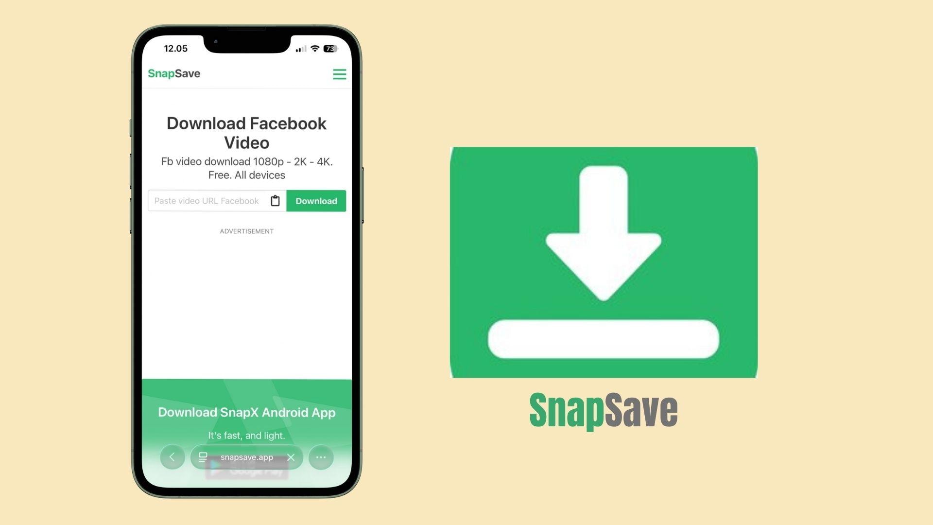 SnapSave.app fb video downloader