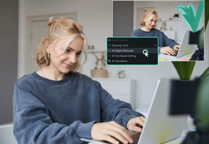 filmora ai object removal pro feature