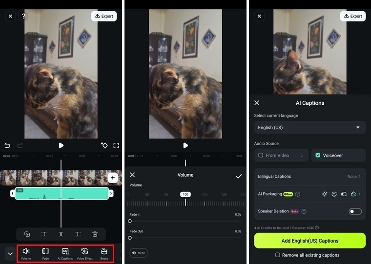 customize the voice over