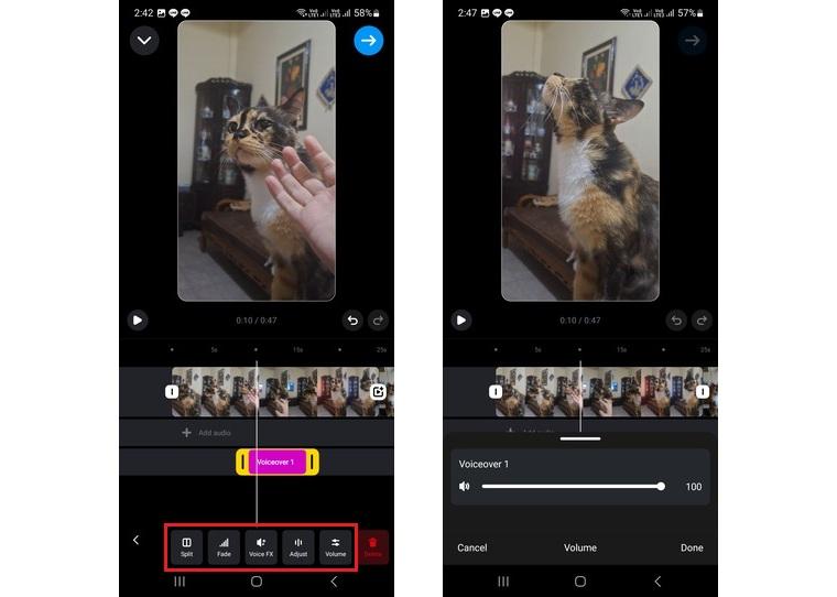 customize the voice over
