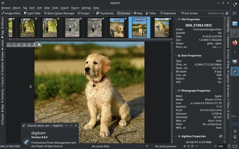 digikam top image viewer for windows
