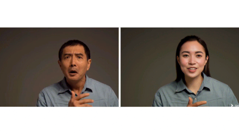 filmora vidgen feature sample