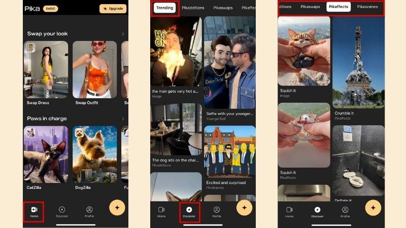 templates on pika app