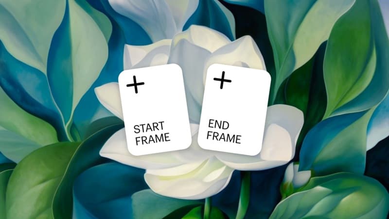 create short clips with photos
