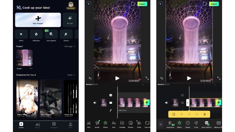 video editor & maker vidma