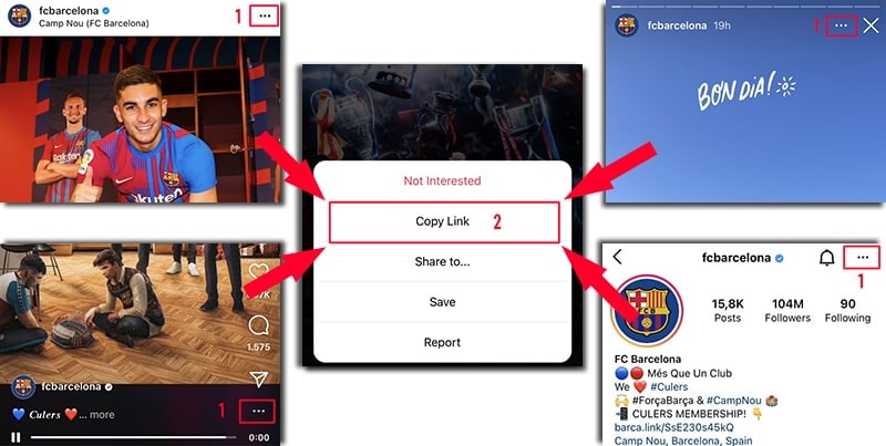 choose instagram highlights downloader