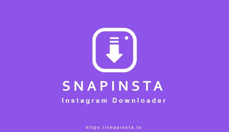 snapinsta ig highlight download