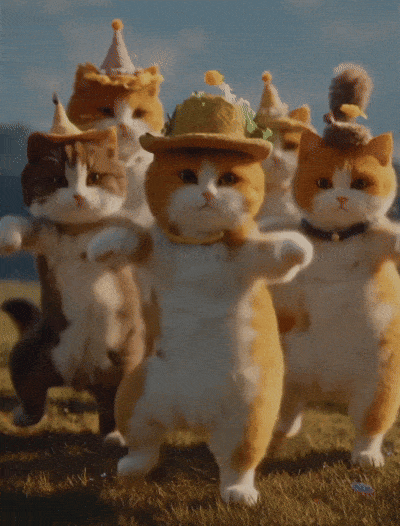 result for the sway dance filter