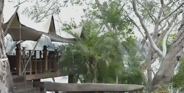 NewBlue Titler Pro 기능