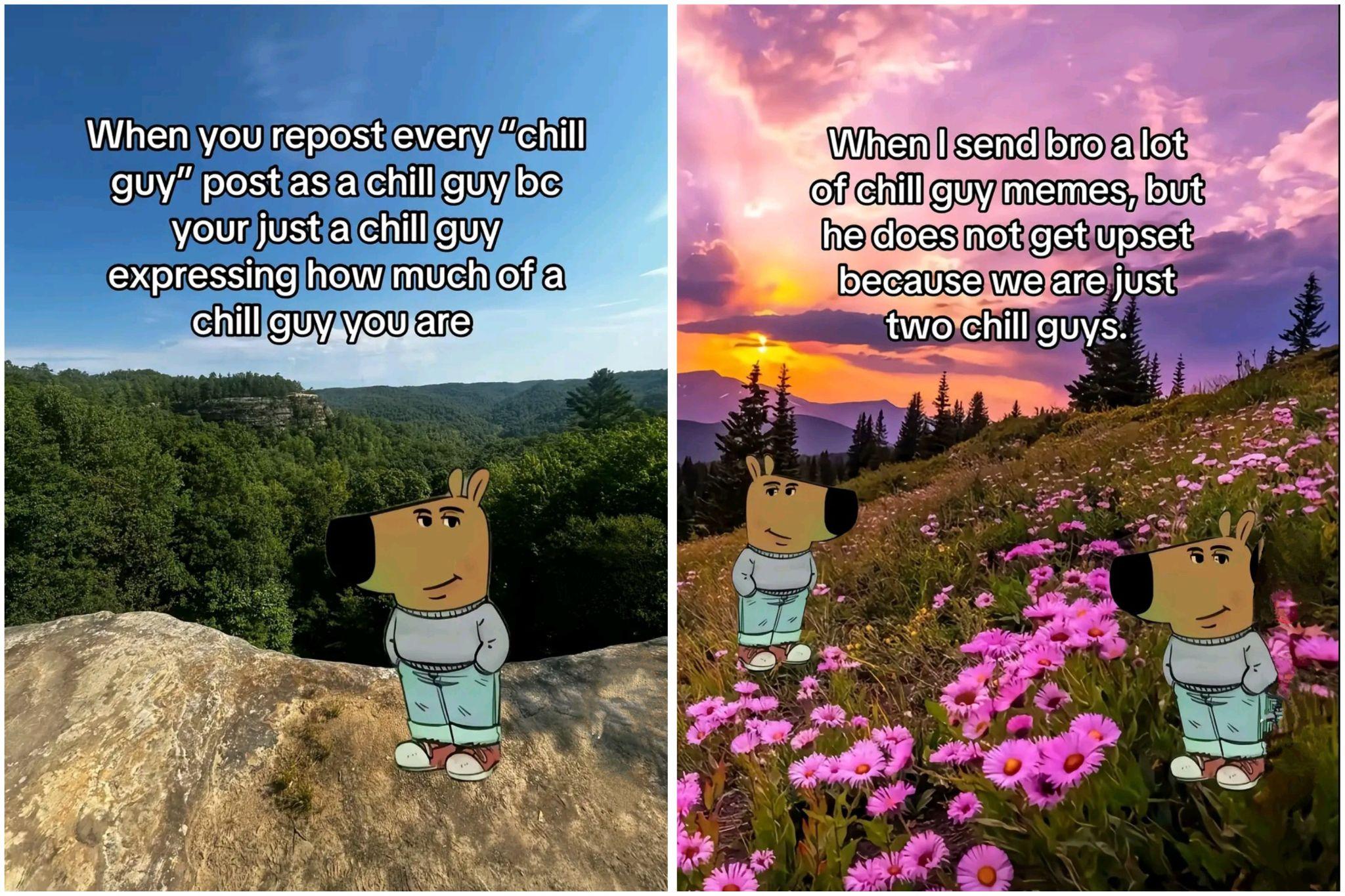 chill guy meme