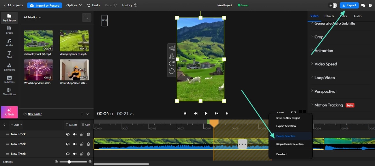 delete video selection export