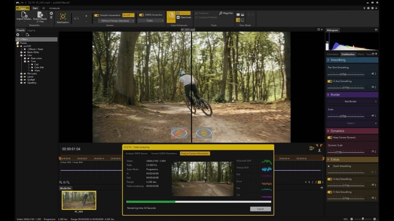 mercalli prodad for video stabilization