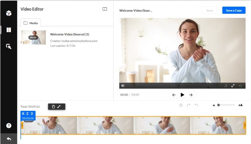 make adjustment inside the video editor